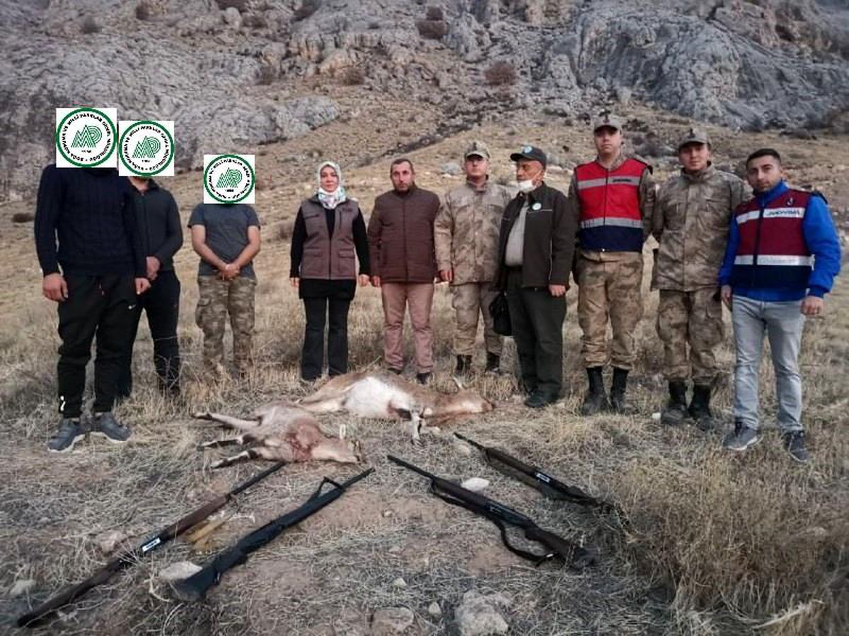 Koruma altındaki yaban keçilerini avlayan 4 kişiye 127 bin 526 lira ceza