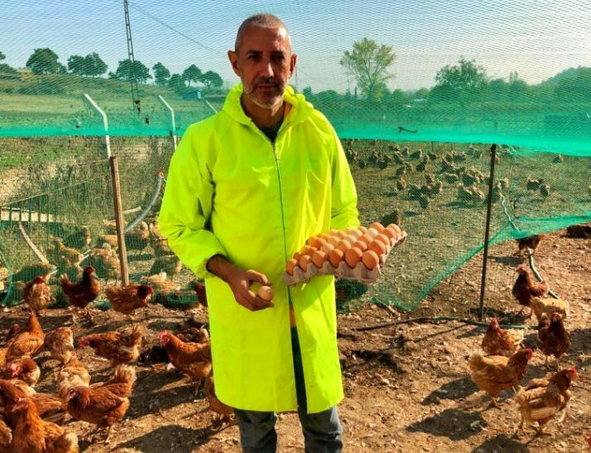 Son Dakika | Yumurta üreticisi Bakan Pakdemirli\'den destek istiyor