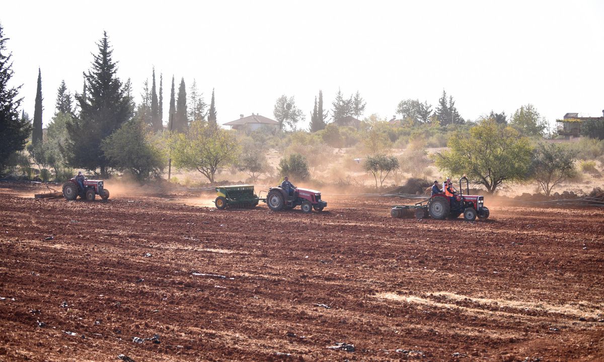 Antalya Orman Çiftliği\'nde ikinci hububat ekimi yapıldı