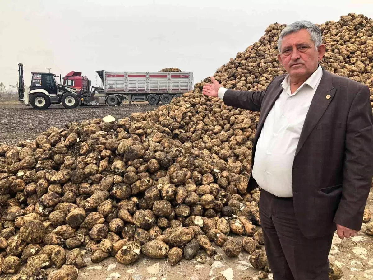 Şeker fiyatının artmasına Ziraat odası başkanı tepki gösterdi: Türkiye\'de şeker krizi yok, bolluğu var