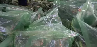 Bursa'da yeşil atıklar gübre oluyor