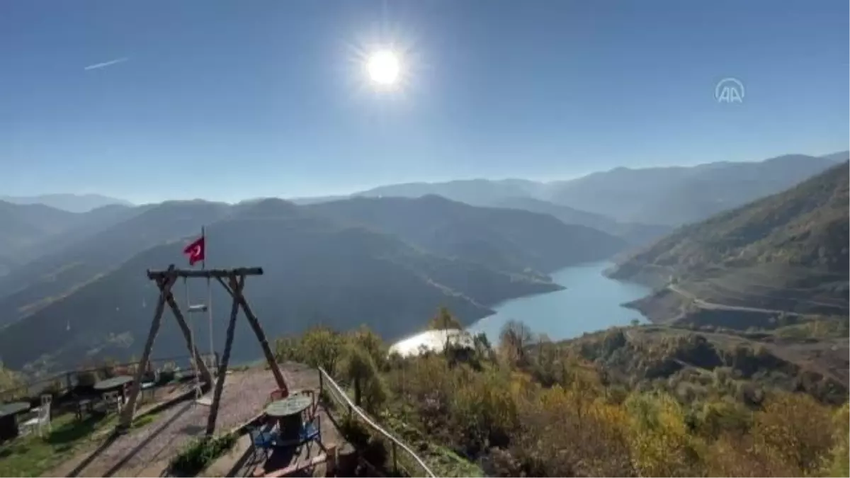 Çiftin baktığı sevimli sincap yaşamını doğal ortamında sürdürecek