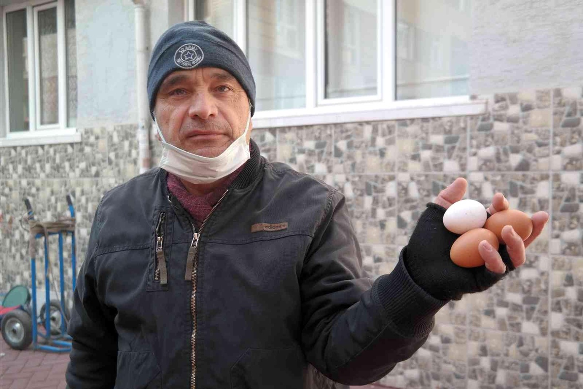 Doğal yumurtalar üreticiden tüketiciye uygun fiyattan satılıyor