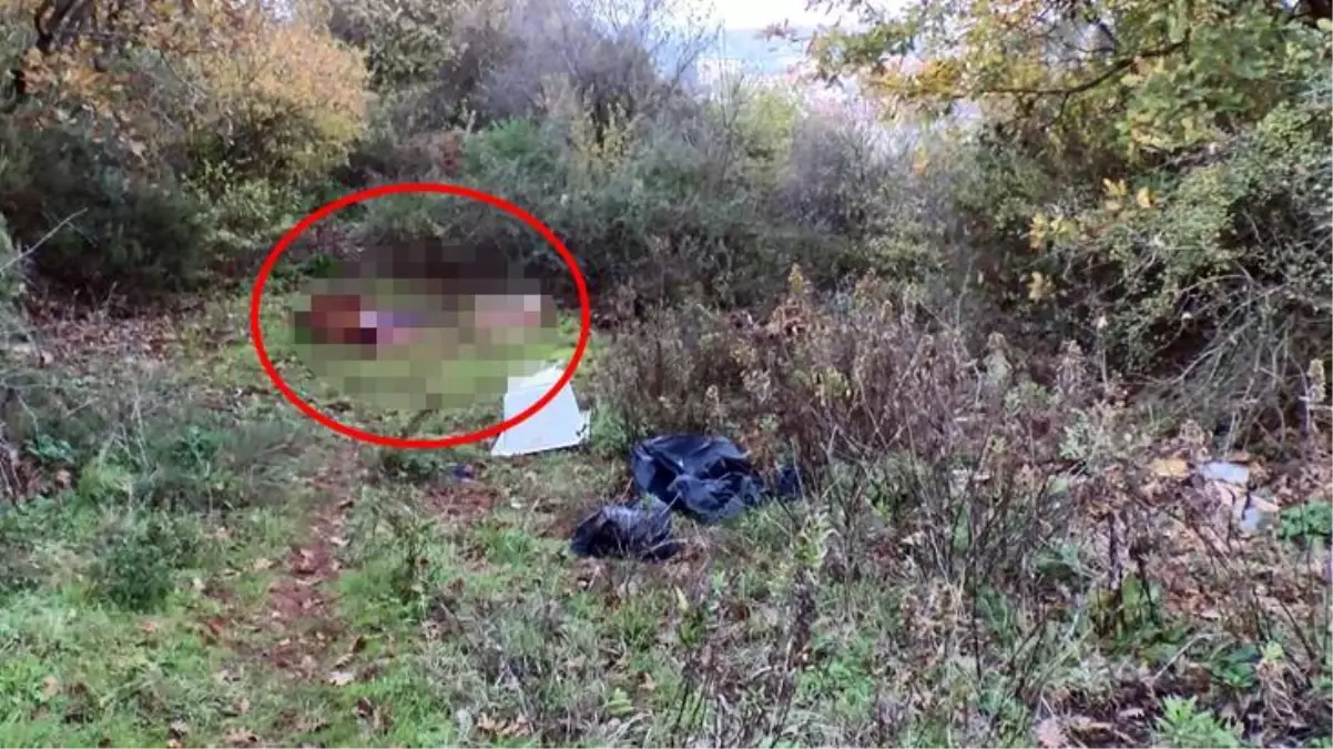 Ormanlık alanda kestikleri atların etlerini alıp götürdüler