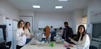 Kenevirde umutlar yönetmeliğe takıldı