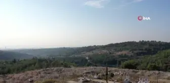 Mersin'de hayata geçirilen hayvan mezarlığı büyük ilgi görüyor