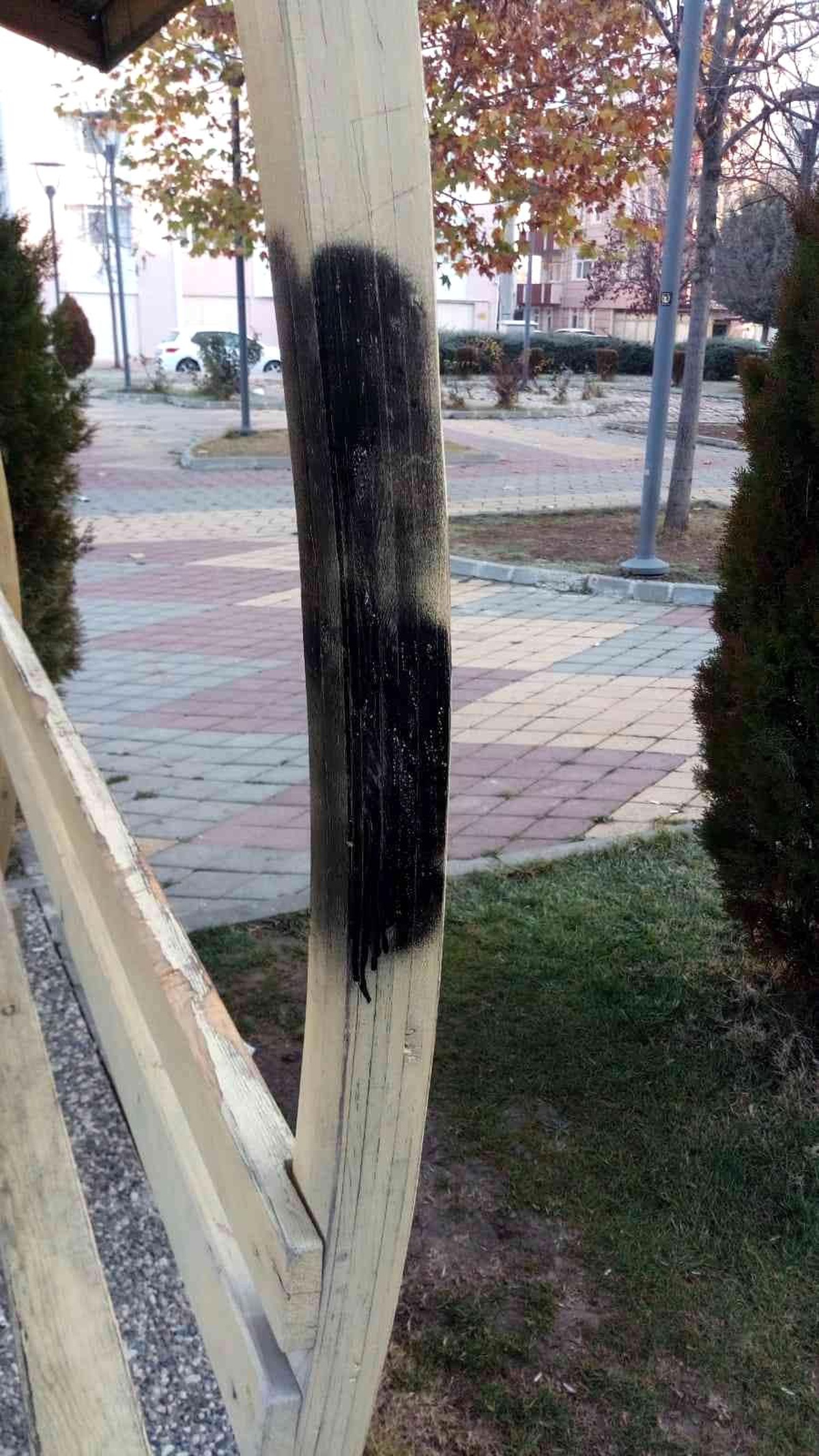 Şehir magandaları parktaki kamelyaları yaktı