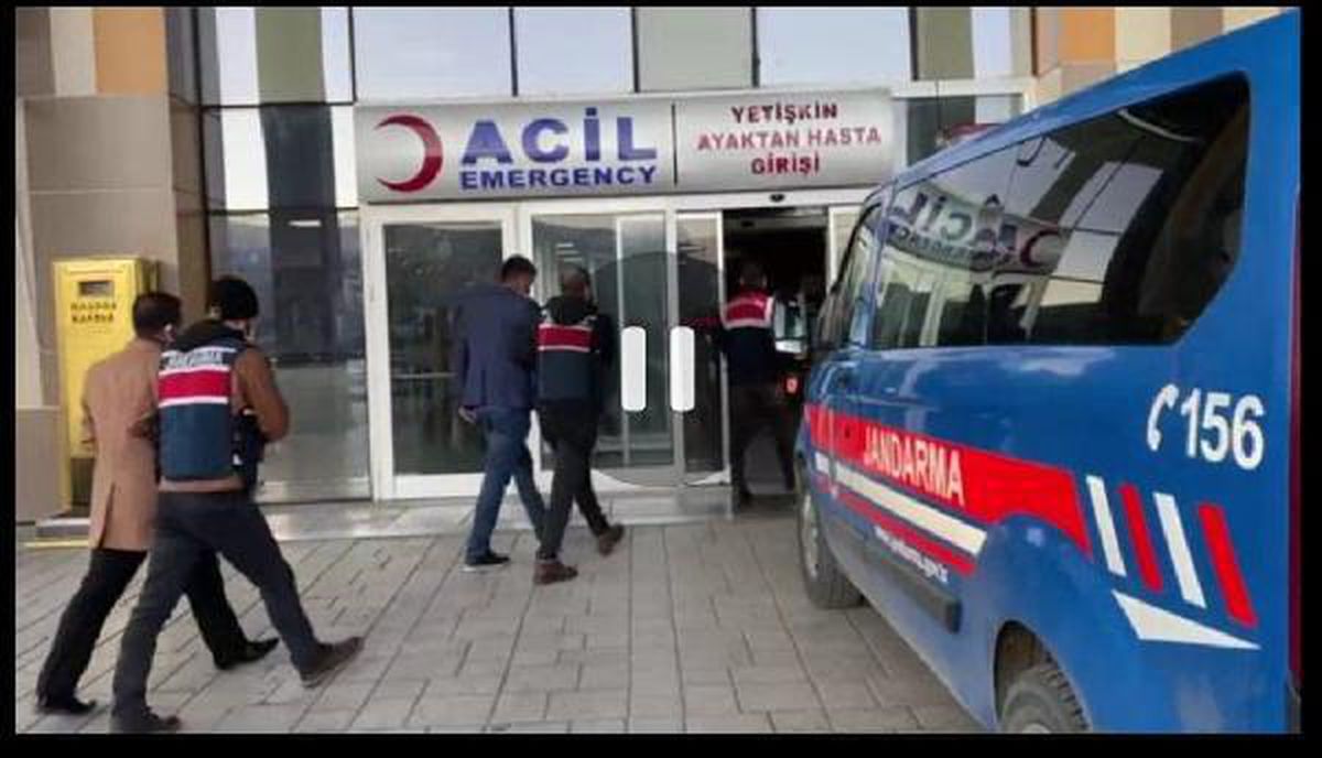 Van\'da terör operasyonu: 5 gözaltı