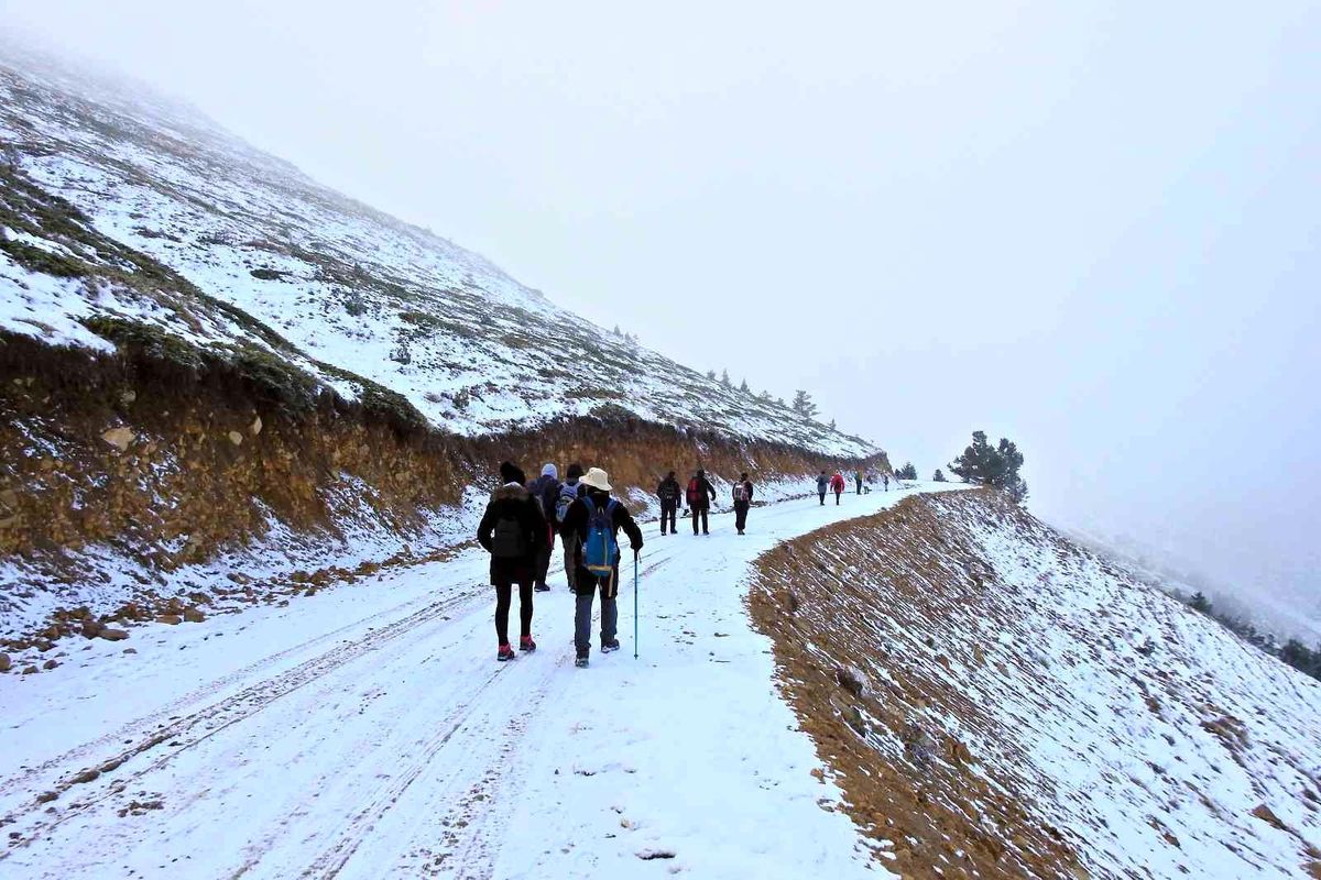 Zigana zirvelerinde doğa yürüyüşü