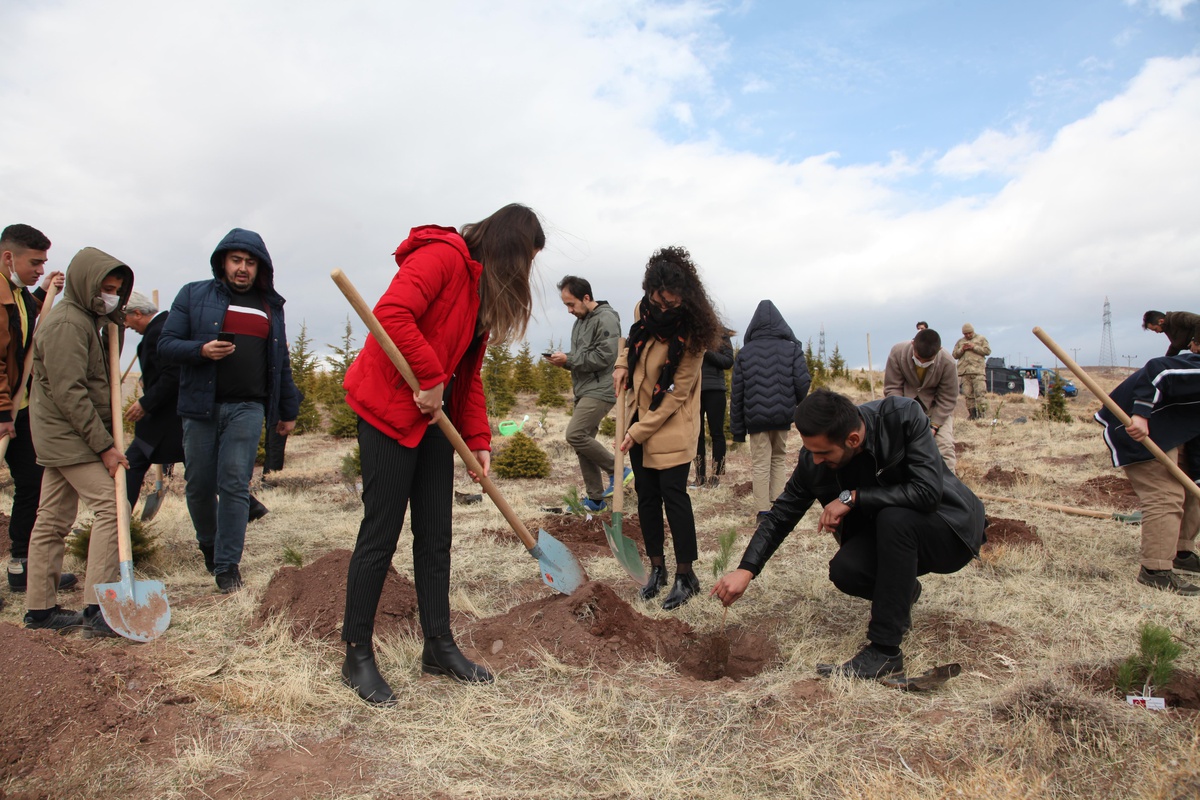 Son dakika haberleri | Ahlat\'ta şehit öğretmenler anısına fidan dikildi