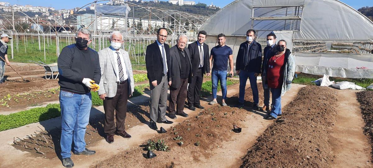 Alaplı\'da Osmanlı çileğinin yeniden üretilmesi için çalışma başlatıldı