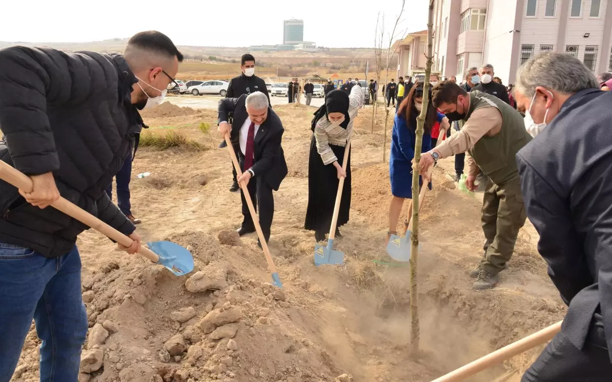 Bitlis\'te şehit edilen öğretmen için Kırşehir\'de oluşturulan hatıra ormanına fidan dikildi