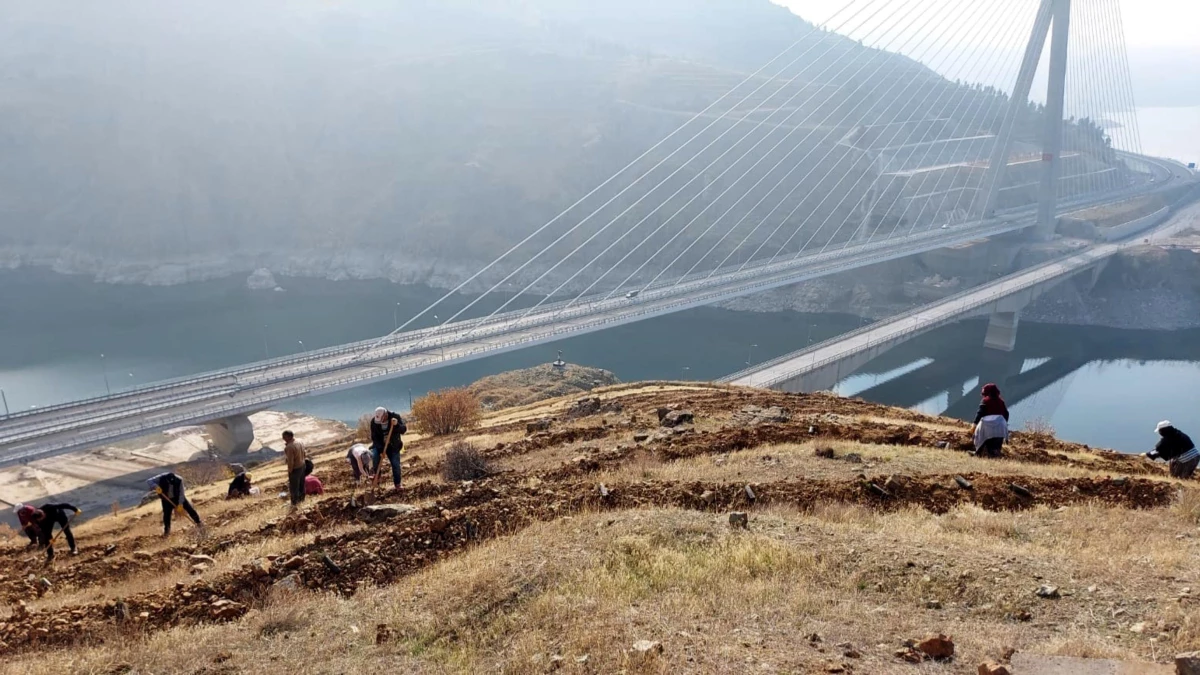 Kömürhan Köprüsünün çevresi 55 bin fidanla yeşillenecek