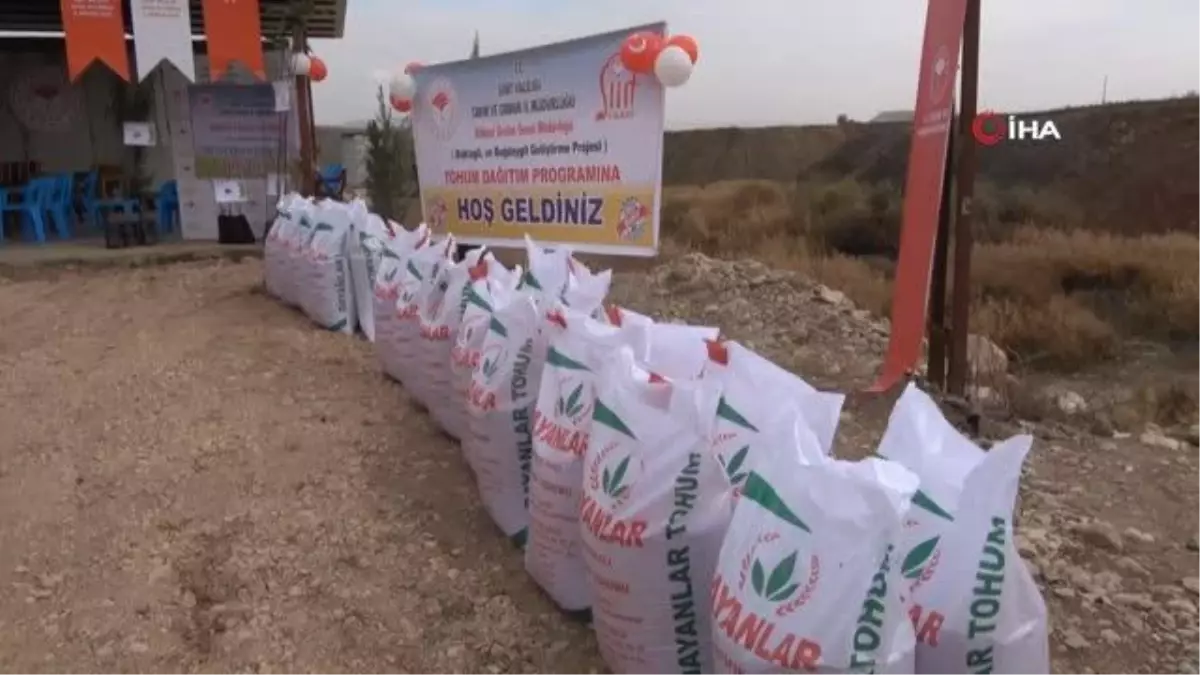 Siirt\'te Goji Berry meyvesi ile Trabzon hurması üretilecek