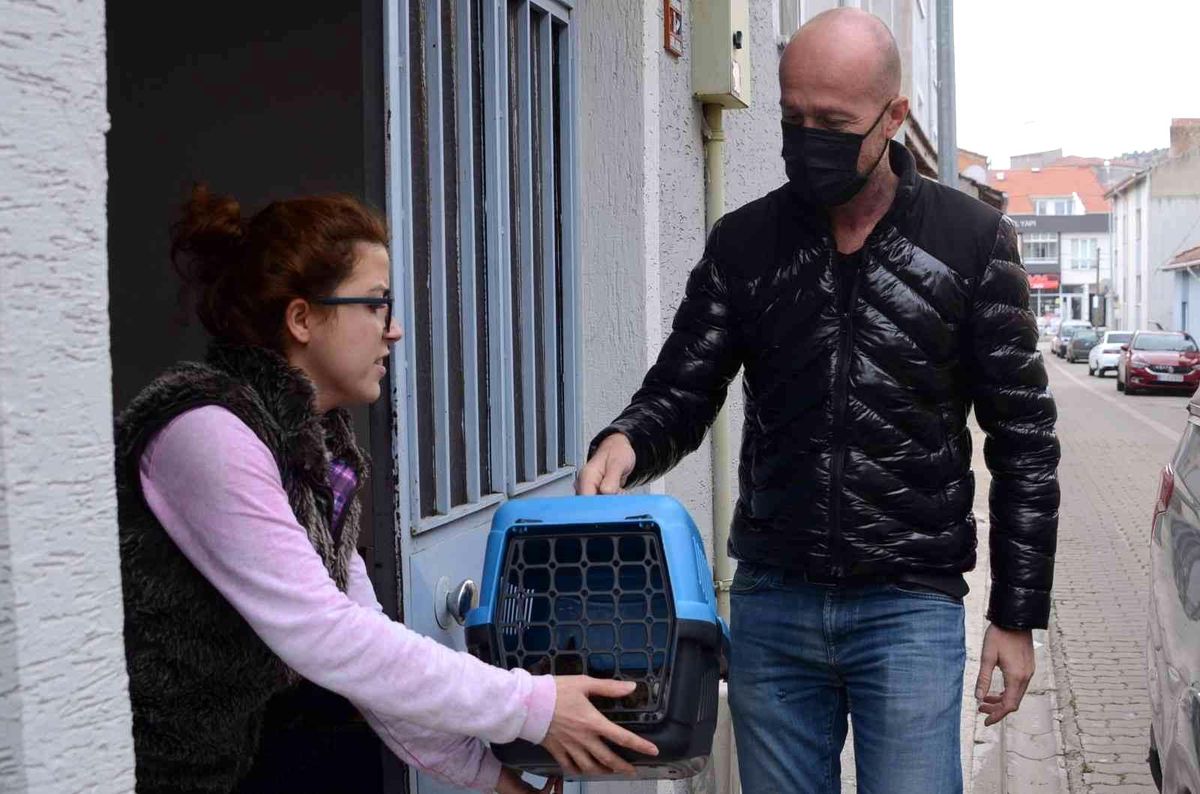 Tedavi edilen minik kediler ailelerine teslim edildi