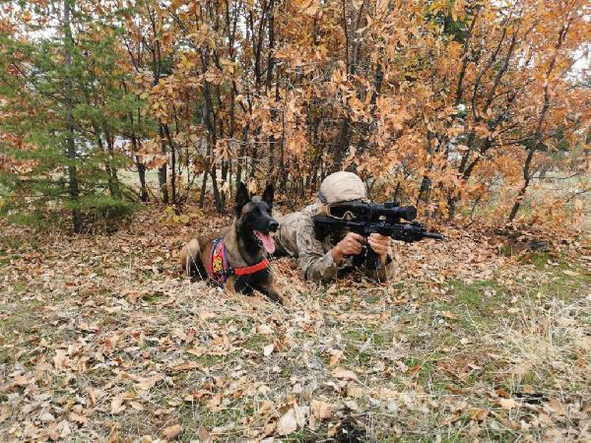 Son dakika haberi... Tunceli\'de teröristlerin kullandığı 9 sığınak imha edildi