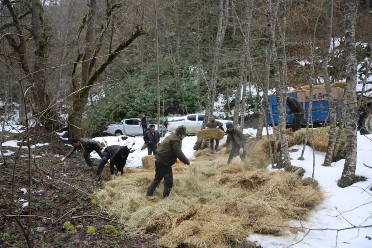 Bolu\'da yabani hayvanlar için hazırlıklar tamamlandı