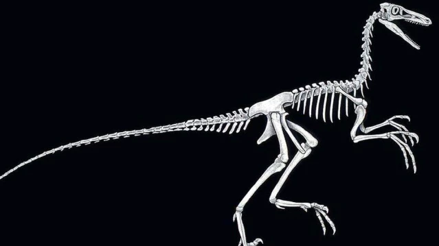 Dinozorlar hakkındaki efsaneler ve gerçekler: Filmlerde gördüklerimiz ne kadar doğru?