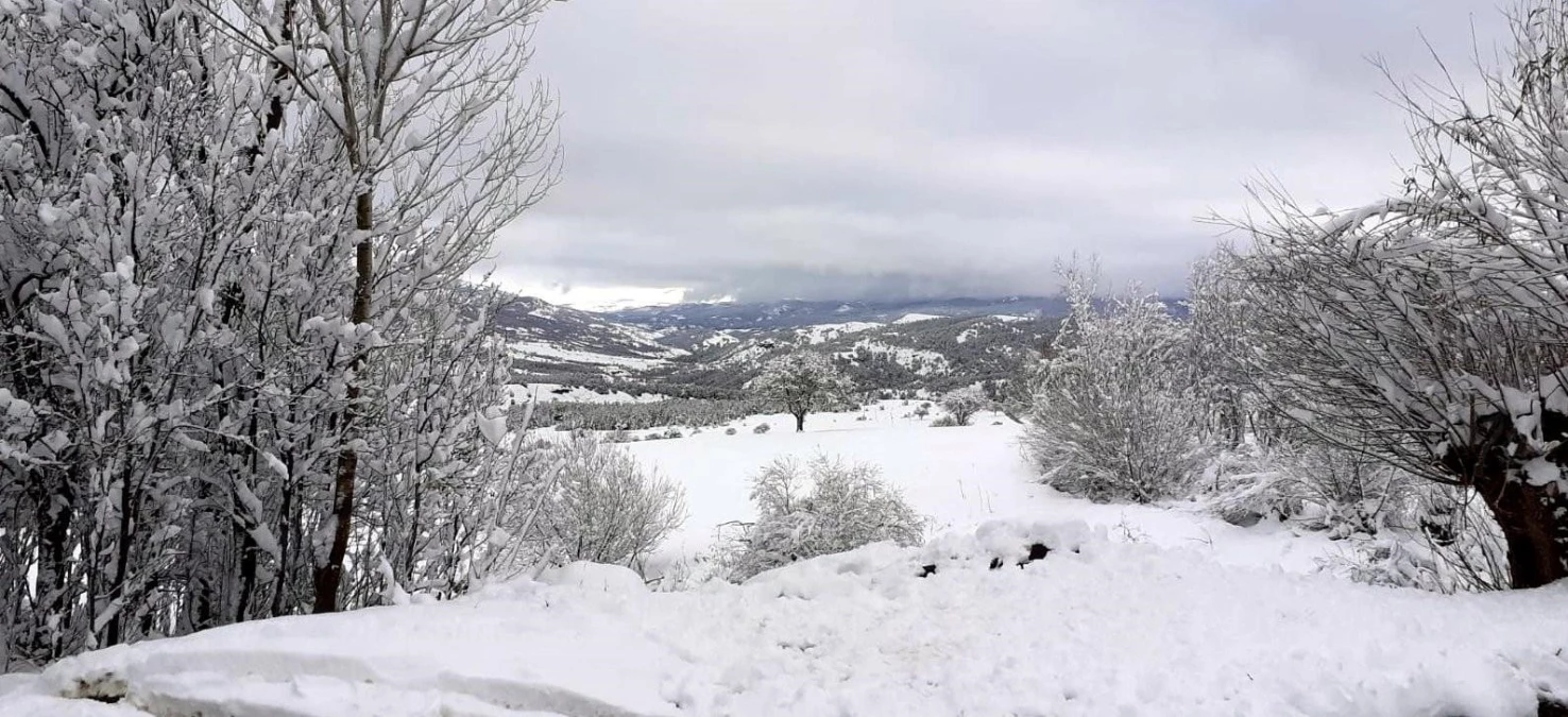 Erzincan\'ın yüksek kesimleri kardan beyaza büründü