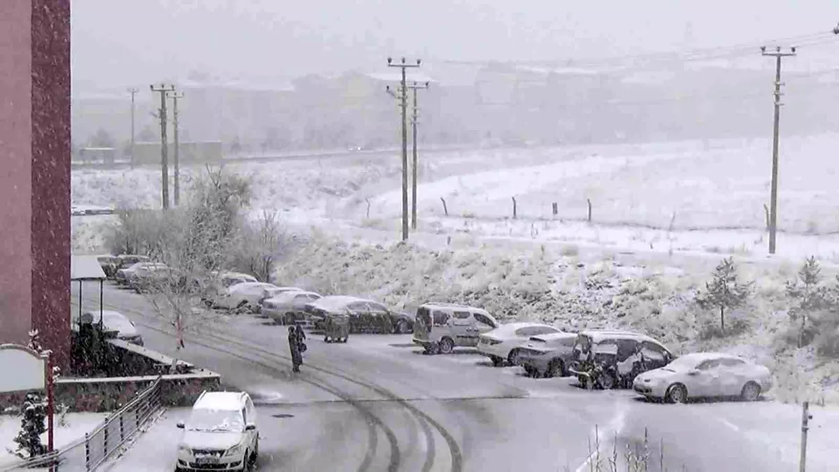 Gençlerin kartopu keyfi