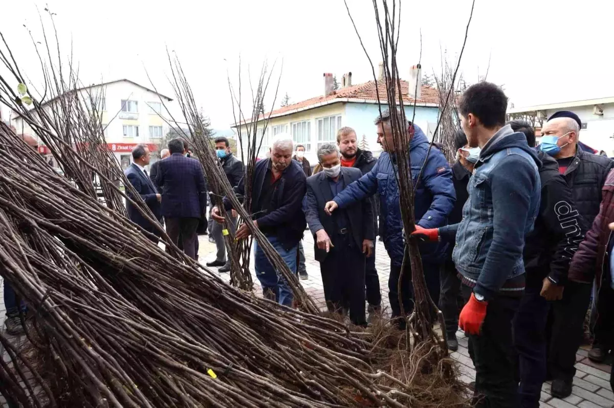 Harmancık ayva ile markalaşacak