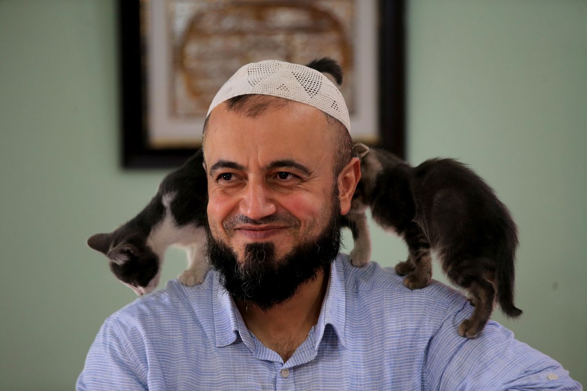 Hayvansever imam caminin kapılarını kedilere açtı