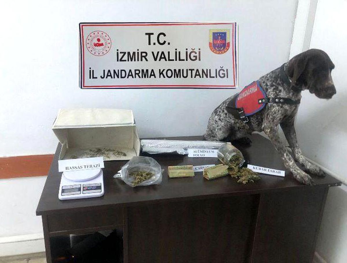 İzmir\'de jandarmadan uyuşturucu baskını: 2 gözaltı