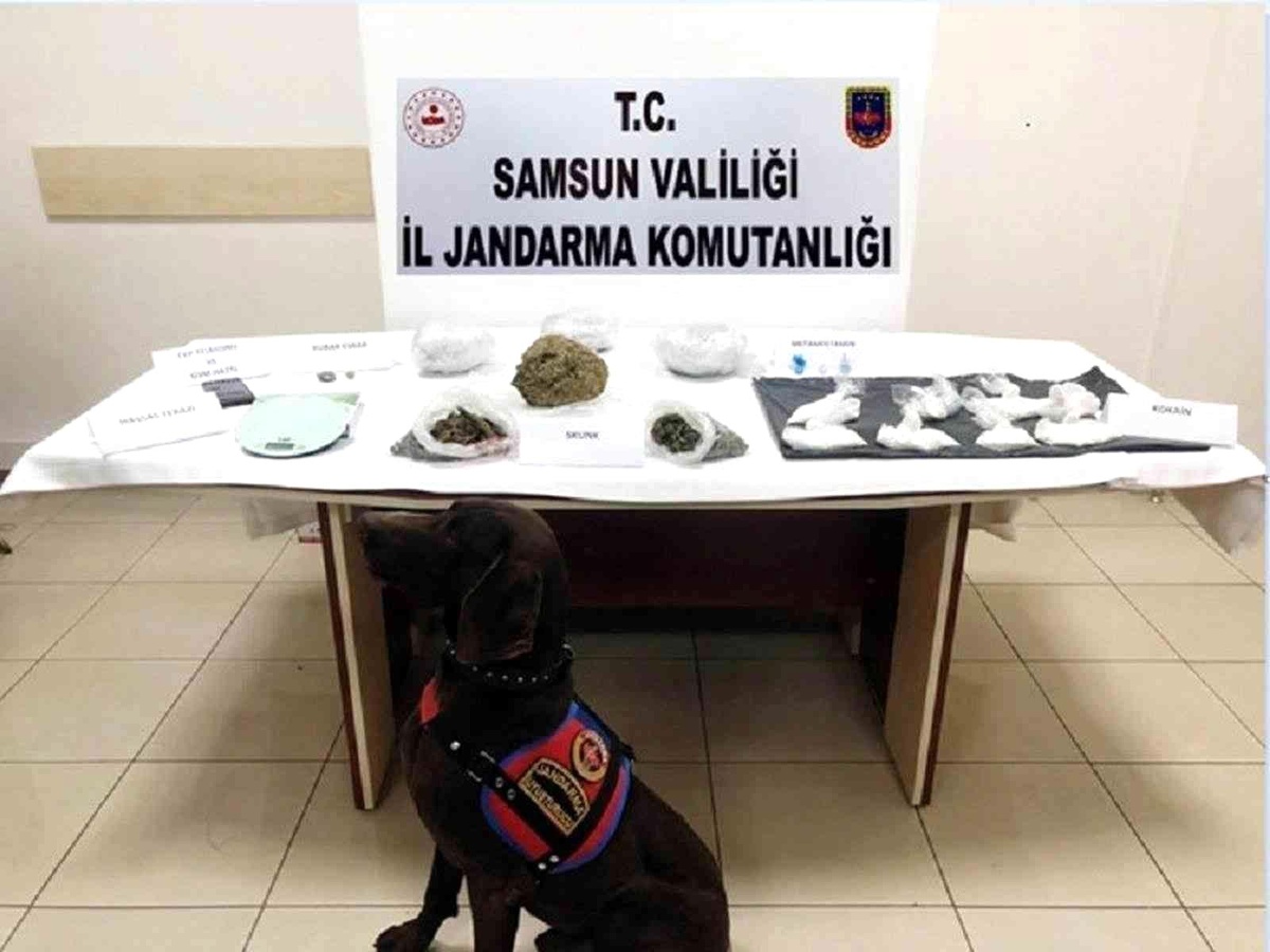 Son dakika: Jandarmadan Samsun ve İstanbul\'da uyuşturucu operasyonu: 4 gözaltı