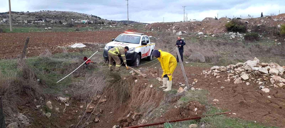 Kuyuya düşen koyunu itfaiye kurtardı