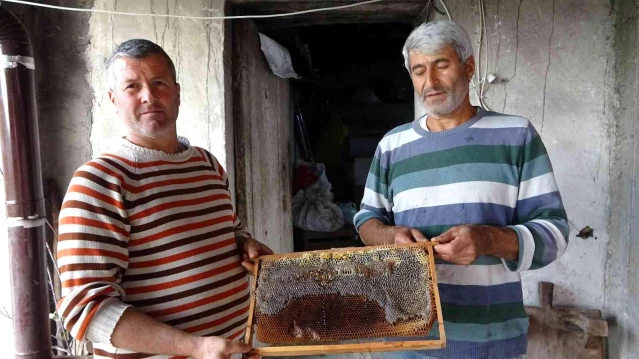 Şifa deposu püren balının kilosu 125 lira