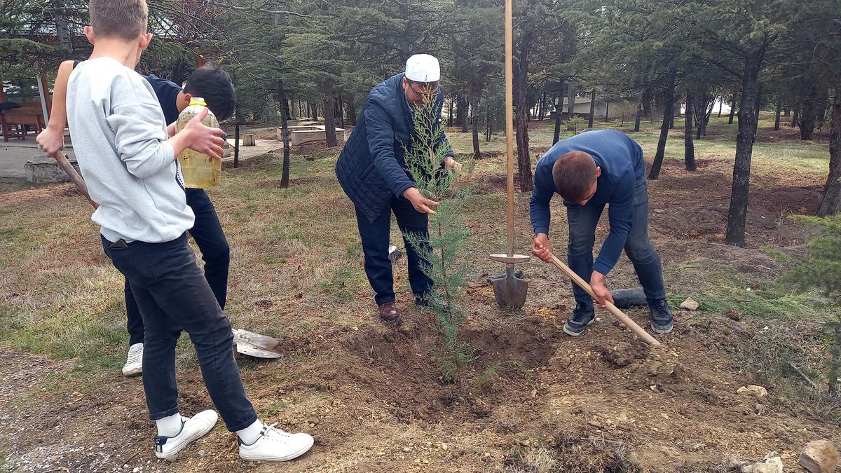 Ankara\'nın Beypazarı ilçesinde öğrenciler fidan dikti