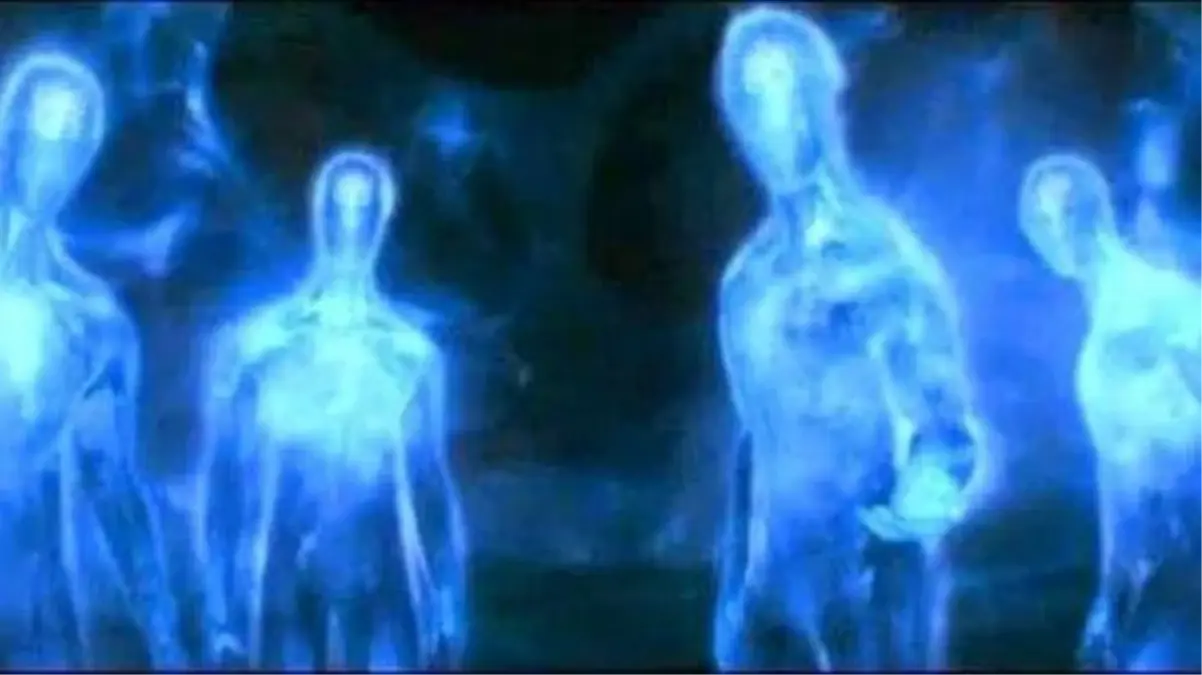 Bilim insanlarından \'istilacı uzaylı tür\' uyarısı!