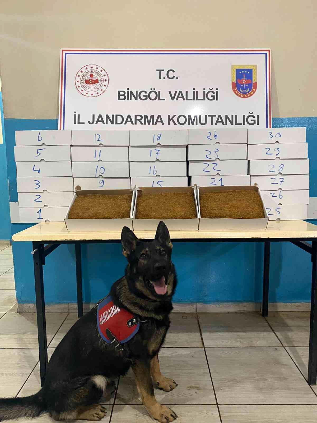 Bingöl\'de 33 kilo kıyılmış tütün ve kaçak çay ele geçirildi