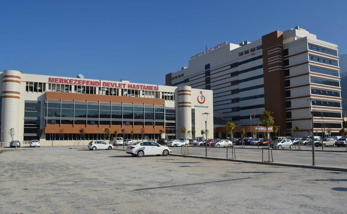 Dağ mantarı zehirledi
