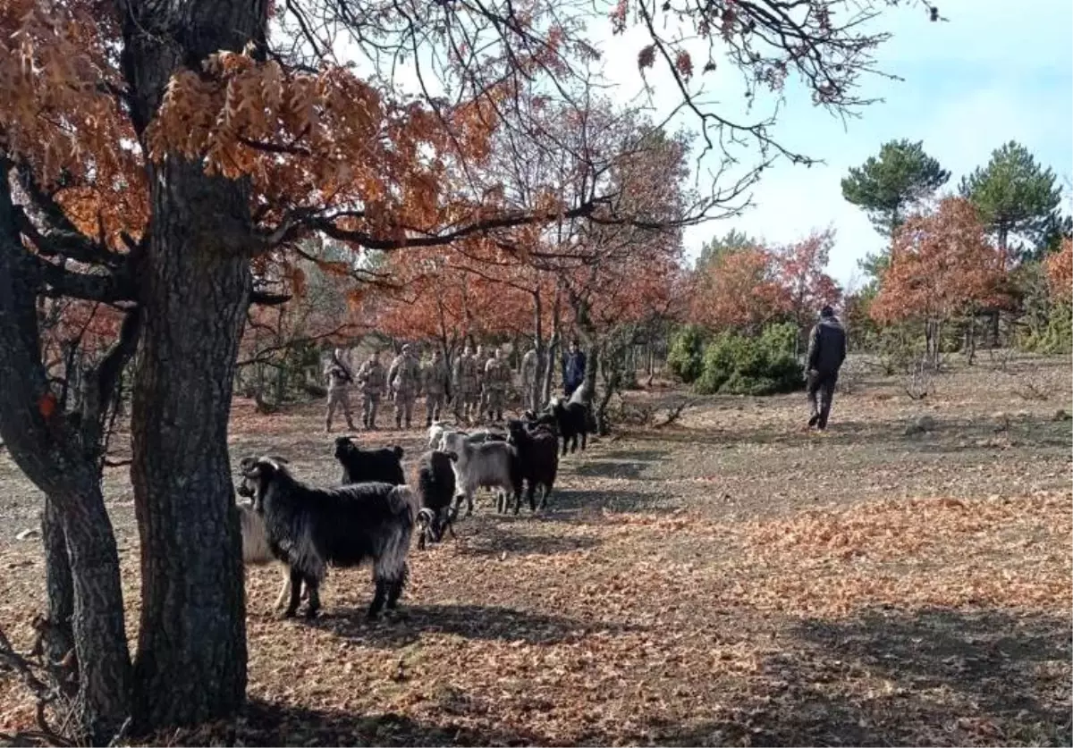 Jandarma ekipleri kaybolan 20 küçükbaş hayvanı drone desteğiyle buldu