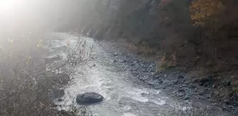 Şavşat'ta hafif ticari araç dereye düştü: 2 yaralı