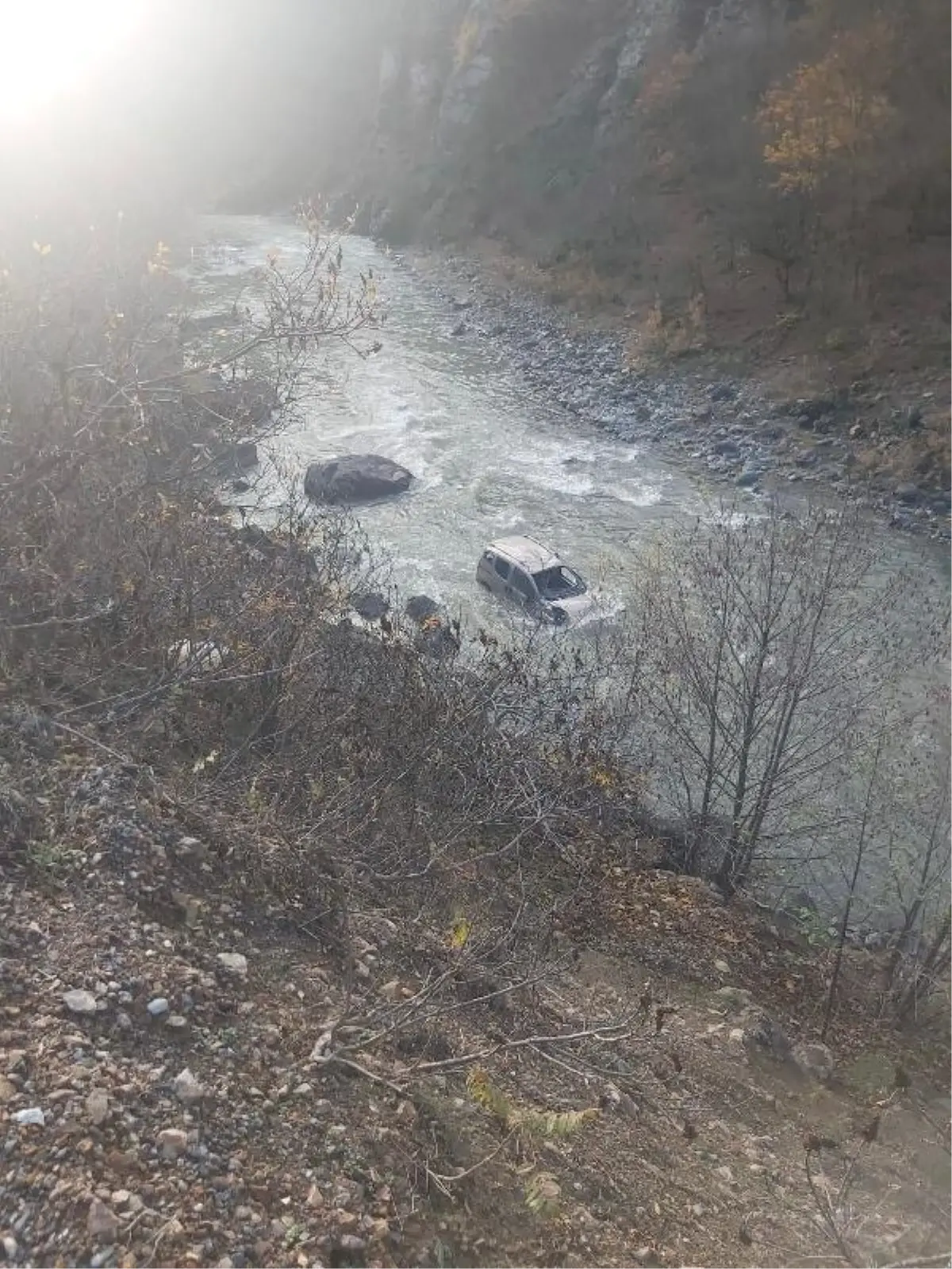 Şavşat'ta hafif ticari araç dereye düştü: 2 yaralı