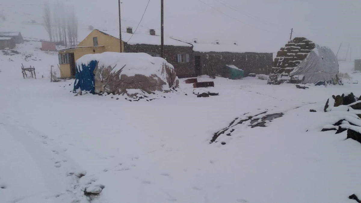 Tuzluca\'da kar yağışı etkili oluyor