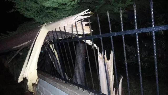 Son Dakika: Antalya'da hortum ağaçları kökünden söktü