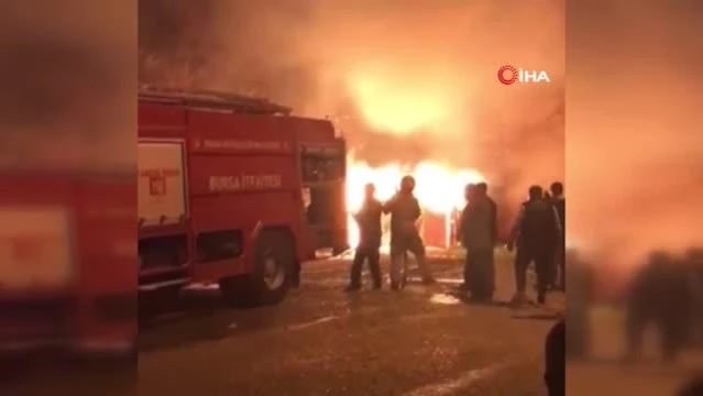 Bursa'da lodosun etkisiyle büyüyen yangın paniğe sebep oldu
