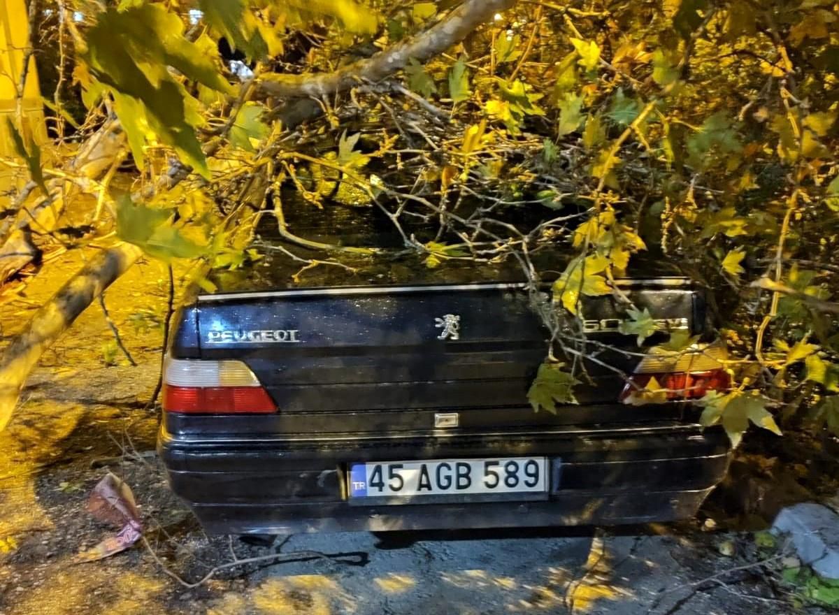 Fırtınada devrilen ağaçlar anında kaldırıldı