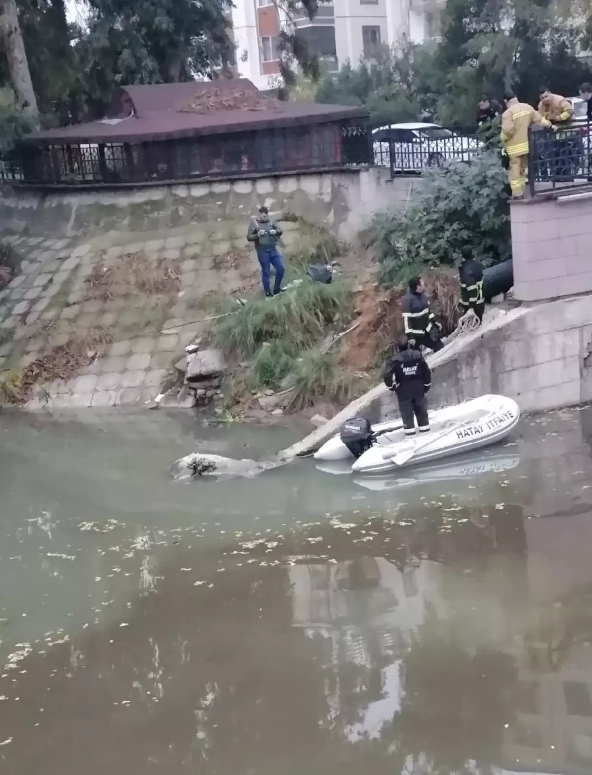 Asi Nehri\'ne düşen at telef oldu