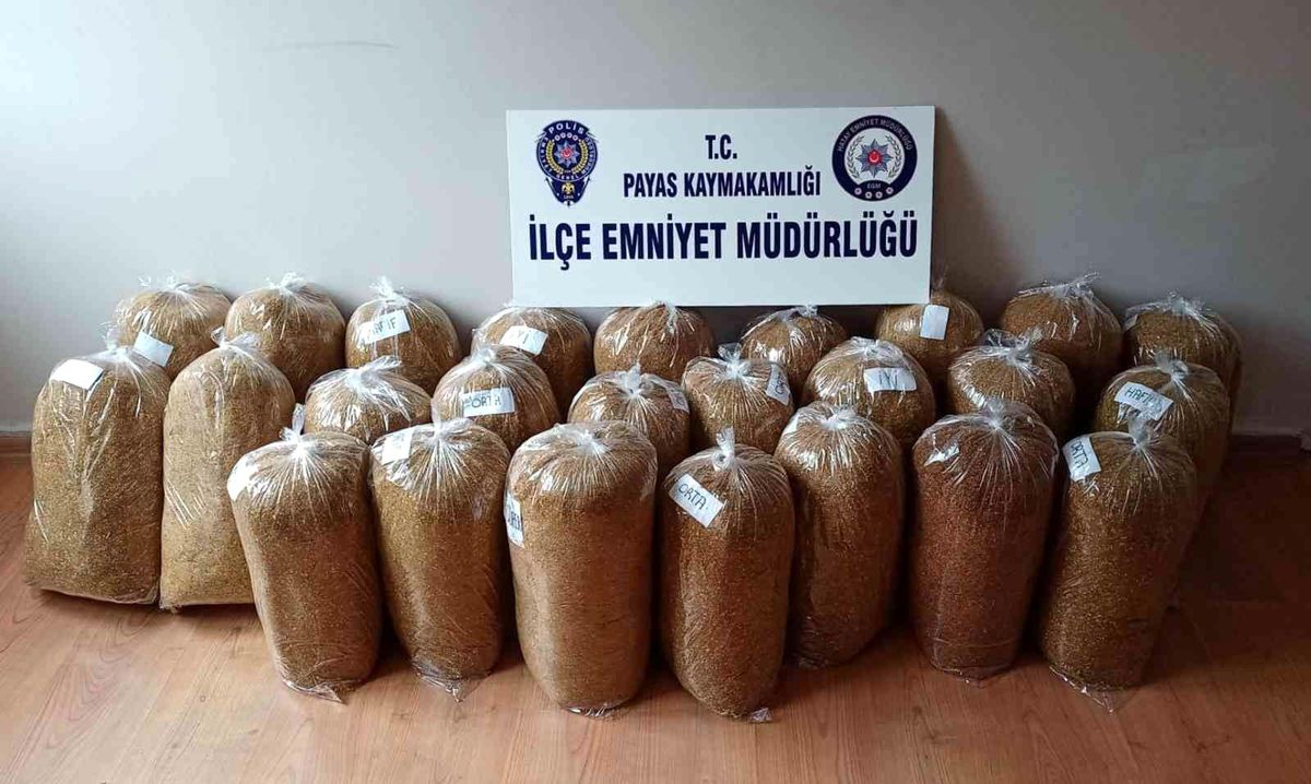 Payas\'ta 127 kilo 55 gram gümrük kaçağı tütün ele geçirildi