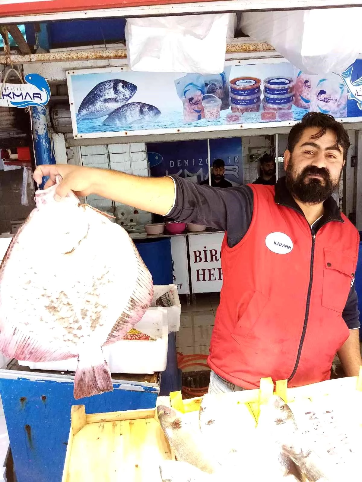 Balıkçı ağına takılan üç kiloluk kalkan balığı 600 liradan satışa çıktı
