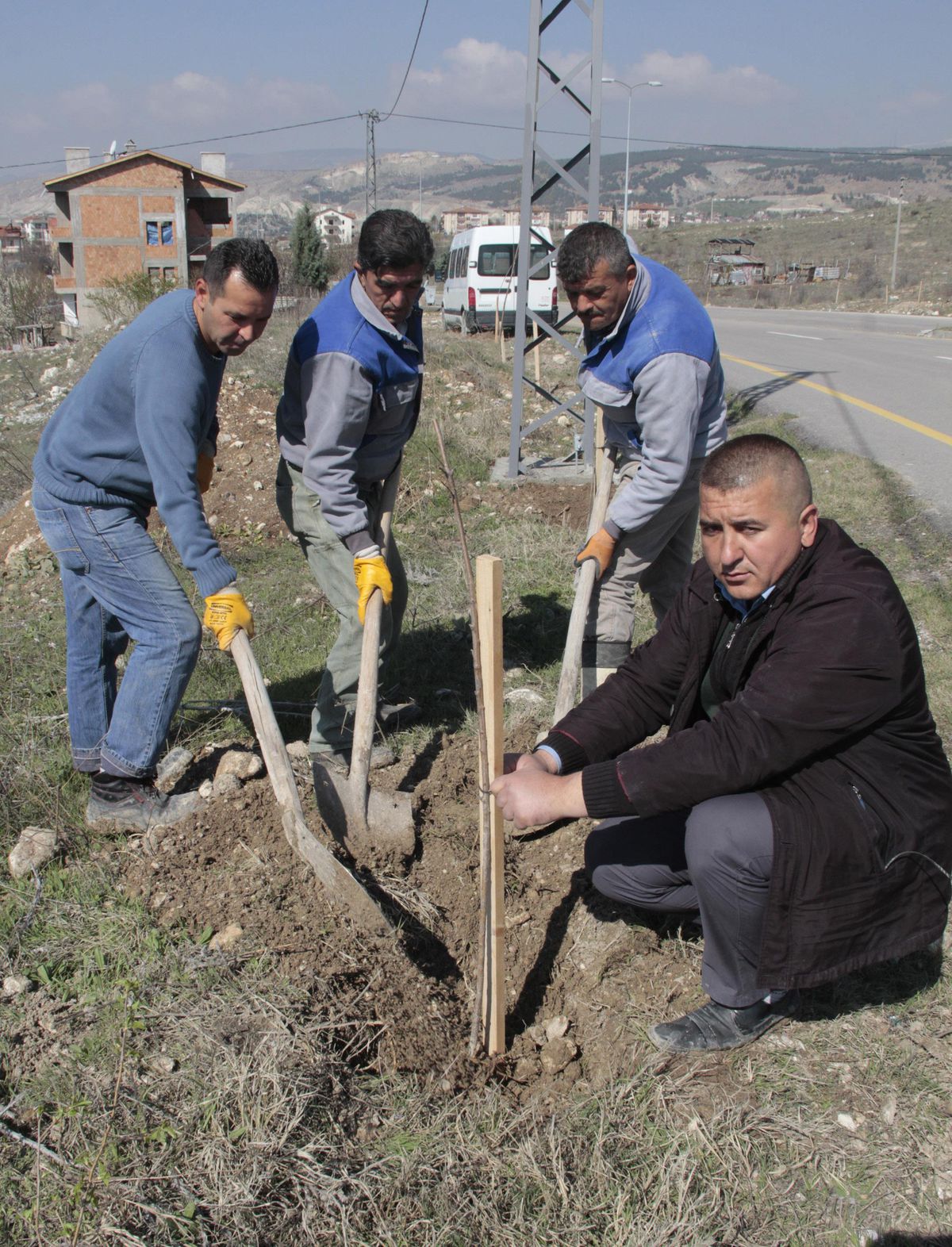 Beypazarı Orman İşletme Müdürlüğü 250 bin fidanı toprakla buluşturuyor