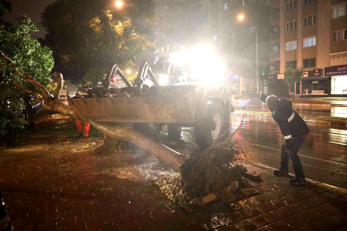 Büyükşehir\'den fırtınada zarar gören bölgelere müdahale