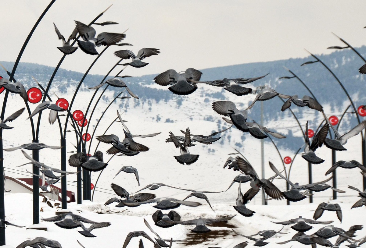 Kars\'ta kar ve soğuk hava etkisini sürdürüyor