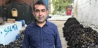 Avda kavga eden köpeklerini ayırmak isterken kazara kendini vurdu