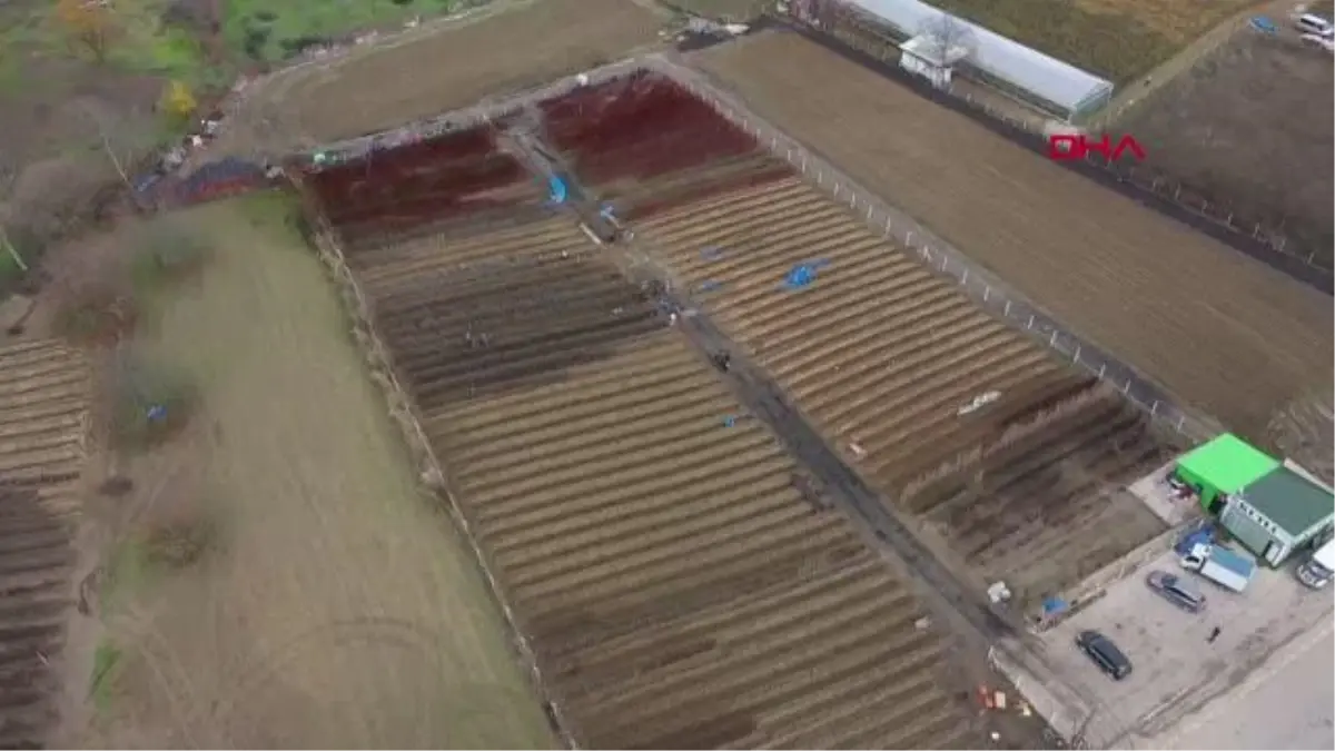 BURSA\'DAN 9 ÜLKEYE ÇÖĞÜR İHRACATI YAPILIYOR