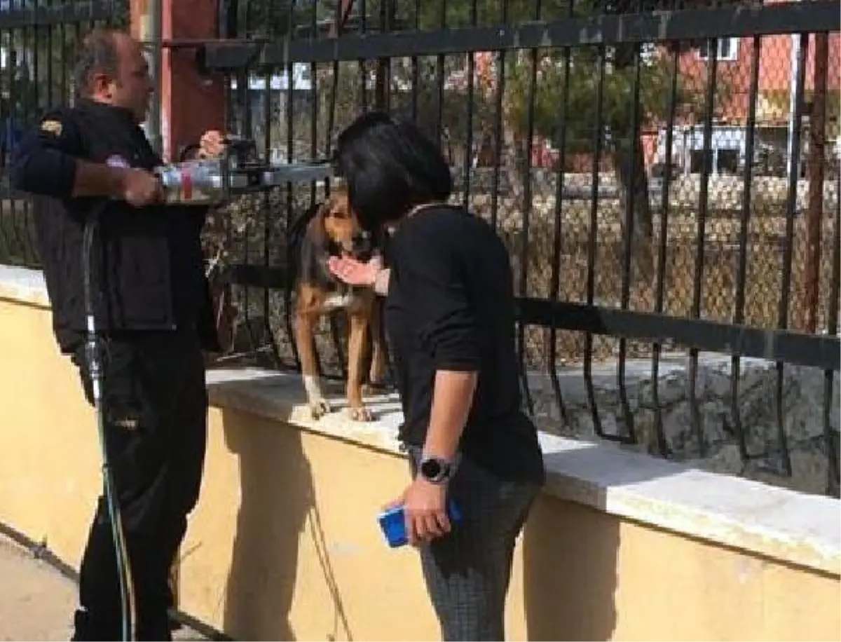 Demir çite sıkışan köpek kurtarıldı